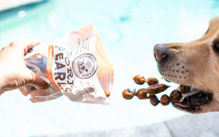 Pearls of Delight: Creative Ways to Use Butcher's Naturals Treasures for Your Pup!