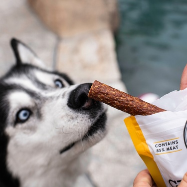 Chicken Jerky Sticks