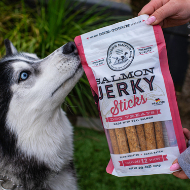 Salmon Jerky Sticks
