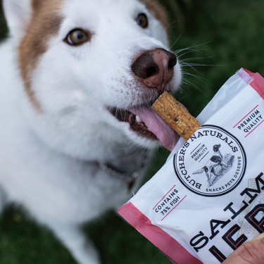 Salmon Jerky Sticks